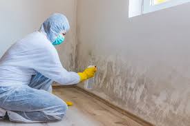 Best Attic Mold Removal  in Bangor, MI