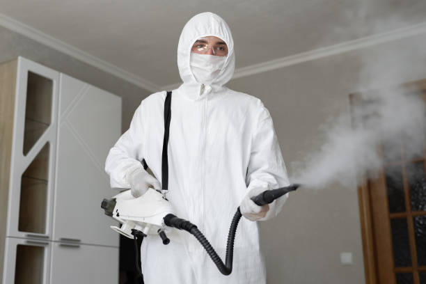 Best Mold Prevention Services  in Bangor, MI